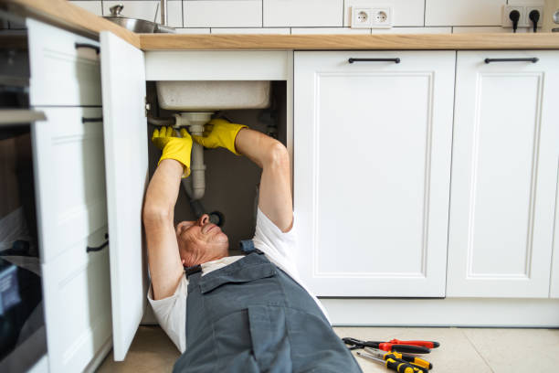 Best Clogged Drain Plumber  in Vadnais Heights, MN