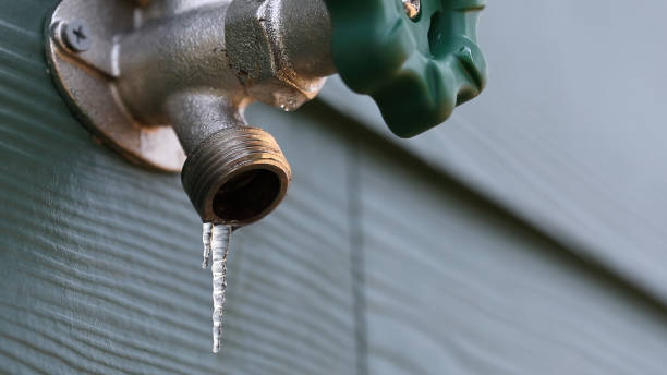 Best Leak Detection Services  in Vadnais Heights, MN
